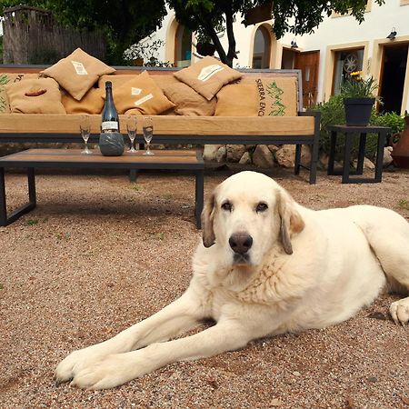 Cal Pau Cruset Konuk evi Torrellas de Foix Dış mekan fotoğraf