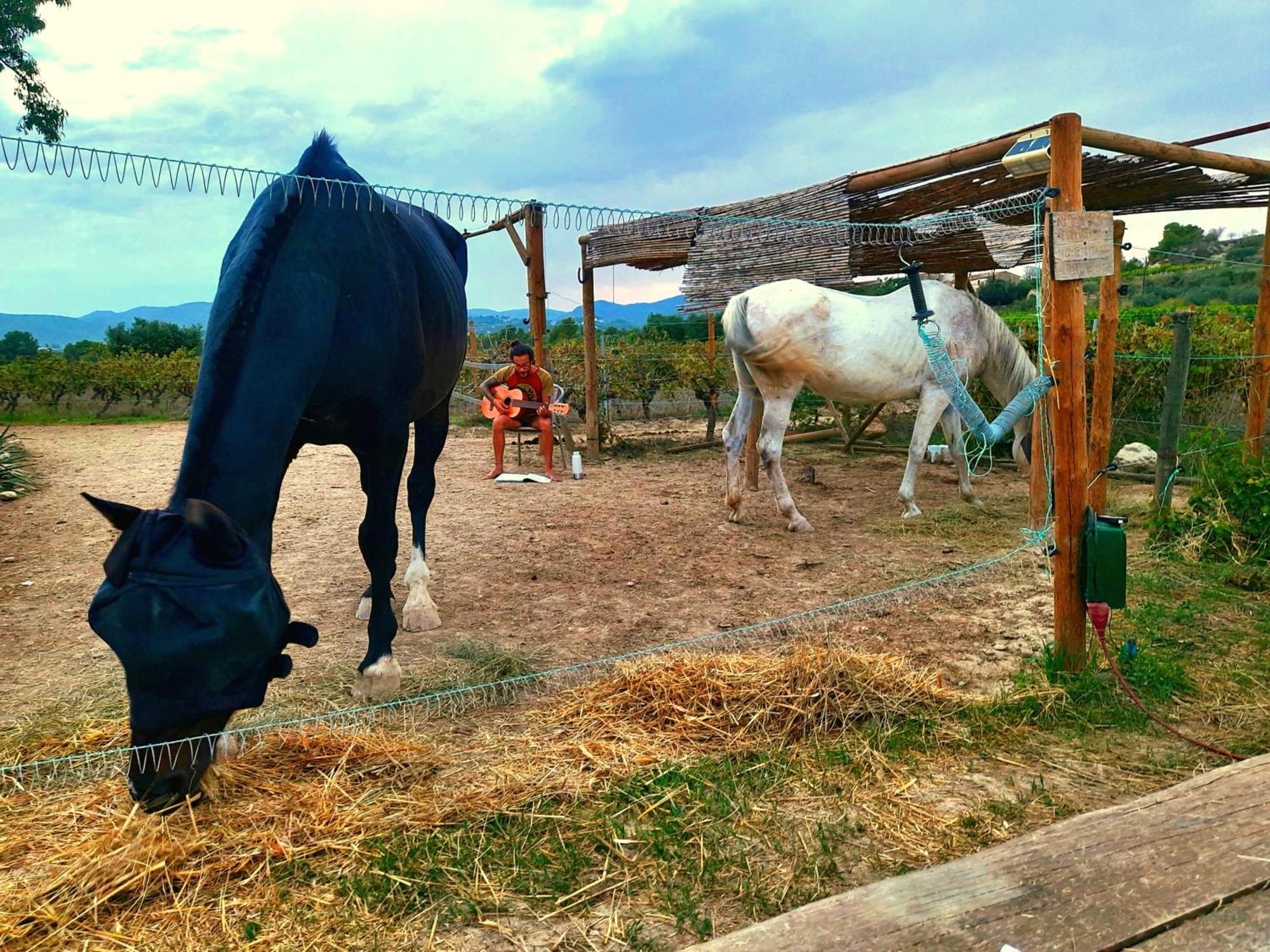 Cal Pau Cruset Konuk evi Torrellas de Foix Dış mekan fotoğraf